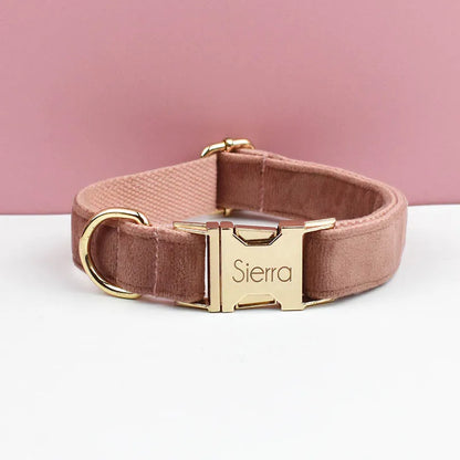 Collier marron pour chien en velours avec bouclerie dorée.