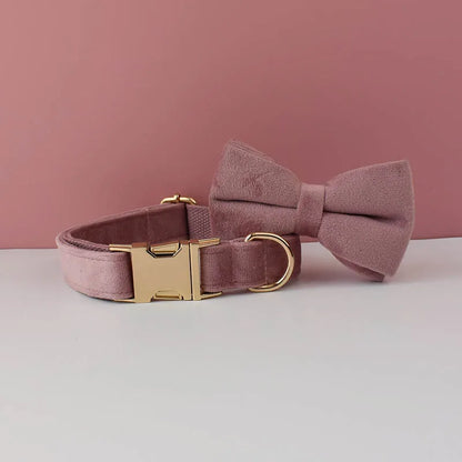 Collier mauve pour chien en velours avec nœud papillon assorti.