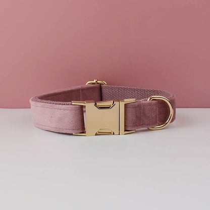 Collier mauve pour chien en velours avec bouclerie dorée.