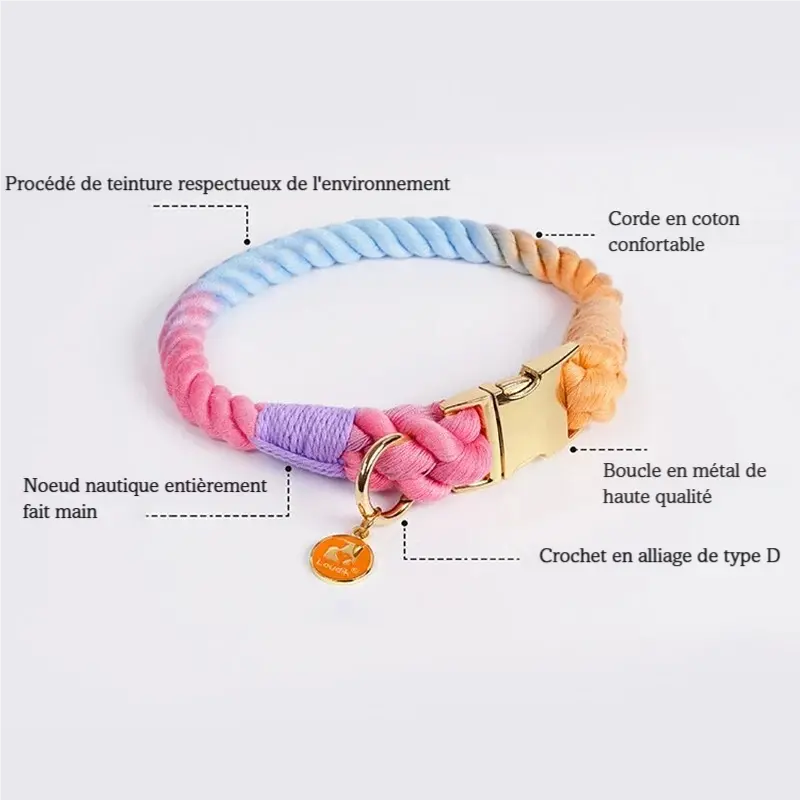 Collier pour chien multicolore avec annotations sur les différentes parties sur fond clair.