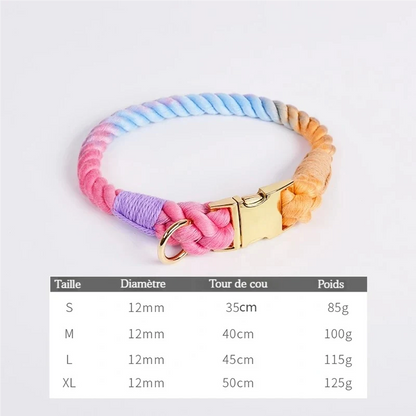 Collier pour chien multicolore avec tableau de tailles en bas de l’image indiquant les tours de cou et poids.