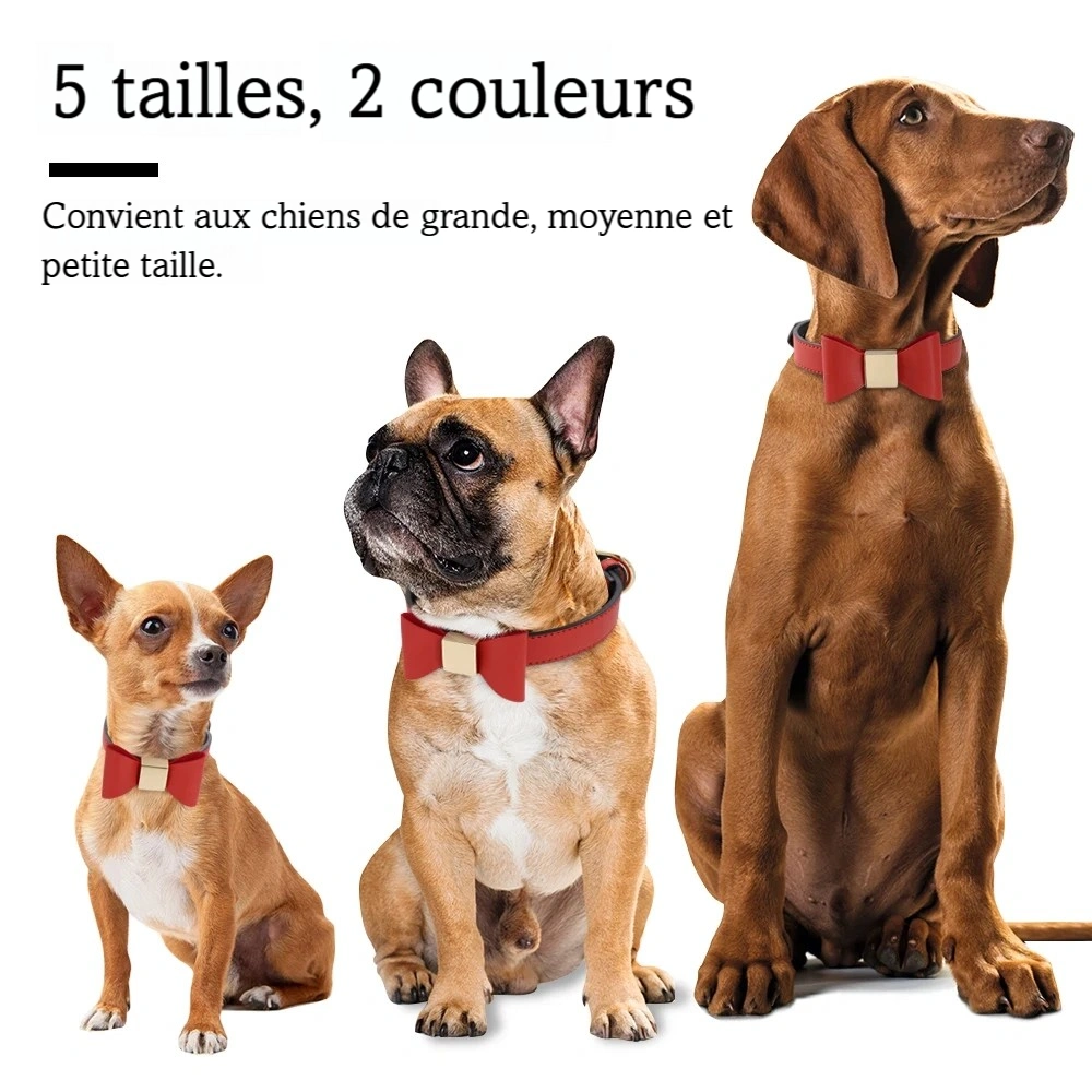 Trois chiens de tailles différentes portant un collier rouge avec nœud papillon central