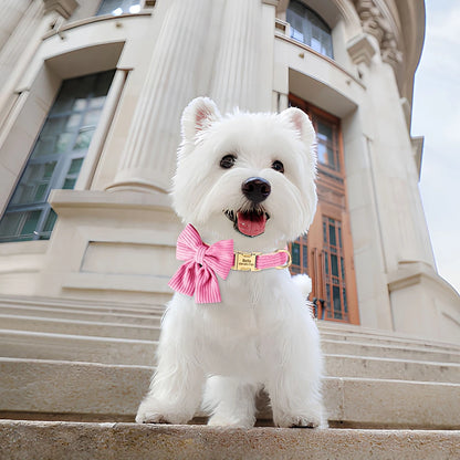 Chiot blanc portant un collier rose en coton doux avec grand nœud papillon et plaque gravée