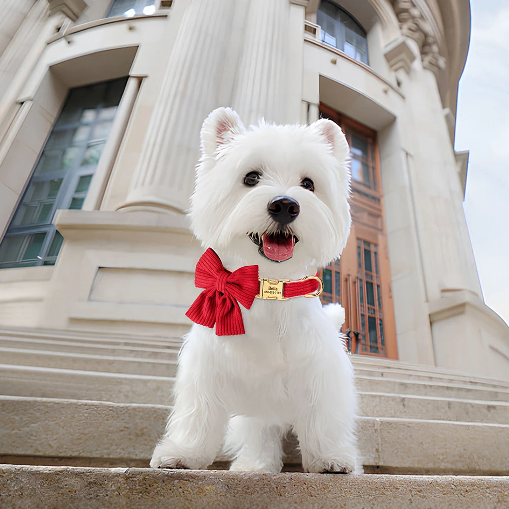 Chiot blanc portant un collier rouge en coton doux avec grand nœud papillon et plaque gravée
