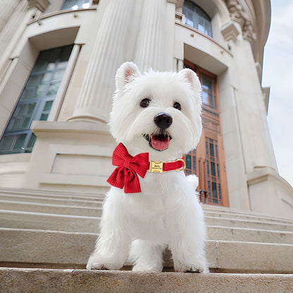 Chiot blanc portant un collier rouge en coton doux avec grand nœud papillon et plaque gravée