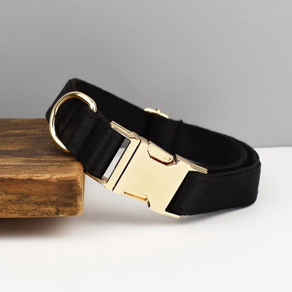 Collier noir pour chien avec boucle métal dorée gravée présenté sur un support en bois.