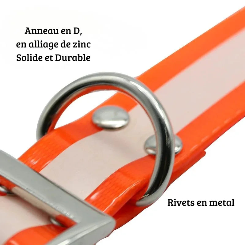 collier-chien-orange-detail-anneau-d-metal-antirouille