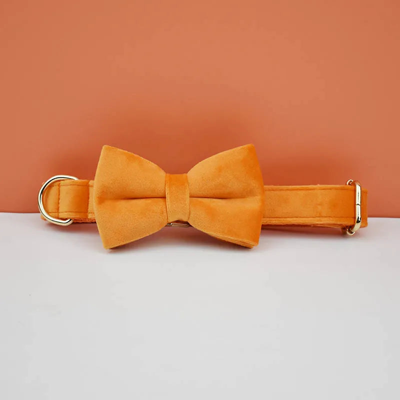 Collier chien élégant en velours orange avec nœud papillon assorti.