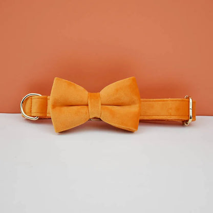 Collier chien élégant en velours orange avec nœud papillon assorti.