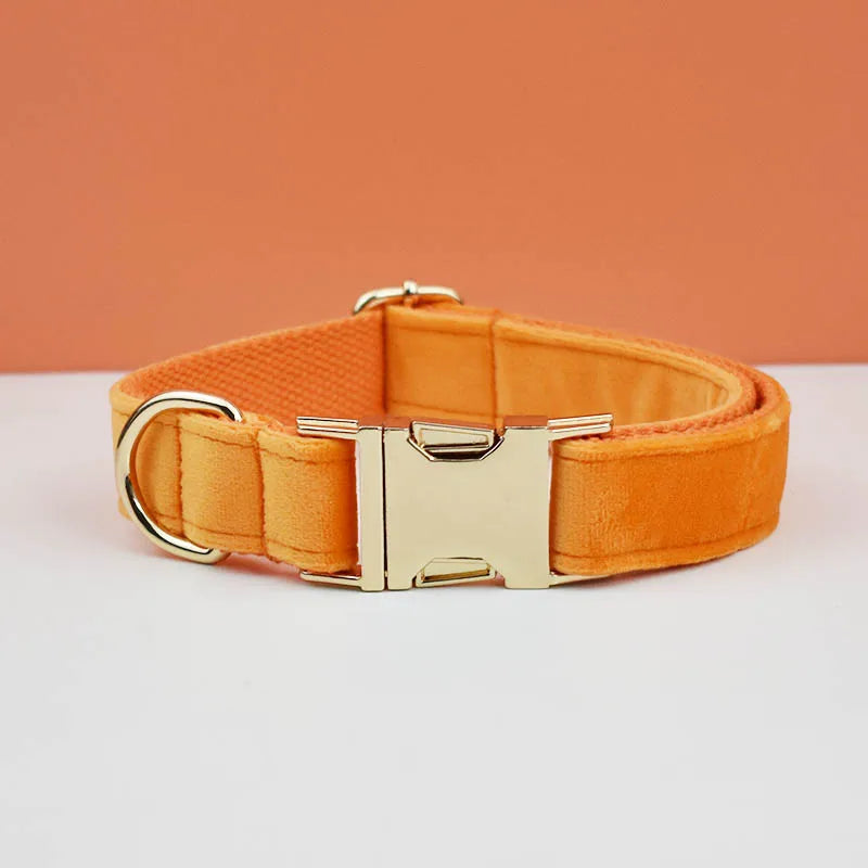 Collier orange pour chien en velours avec nœud papillon et gravure.