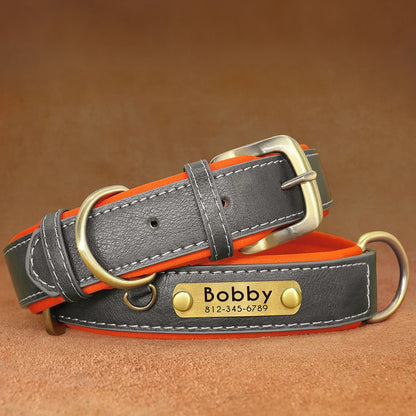 Collier pour chien personnalisé gris et orange présenté à plat avec plaque gravée.