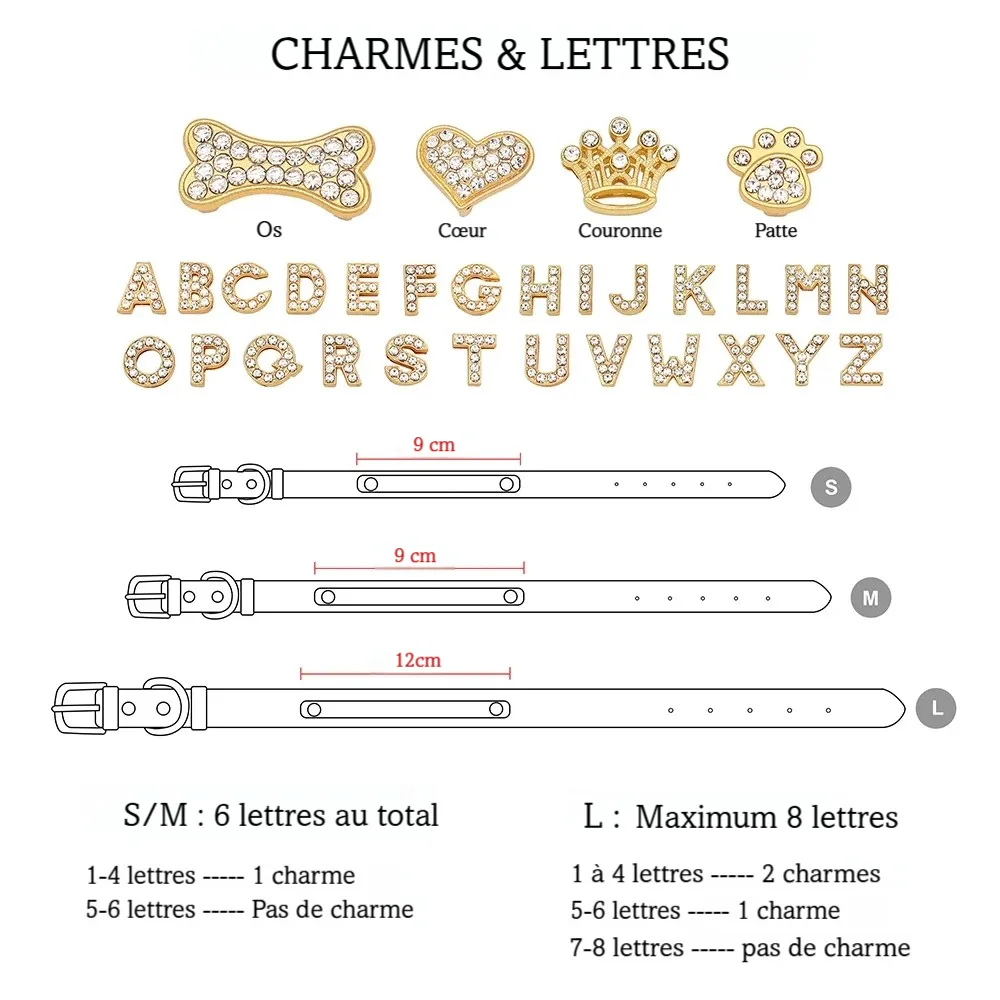 Guide de personnalisation du collier pour chien avec lettres et breloques disponibles.