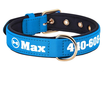 Collier pour chien large en tissu bleu vif personnalisé avec prénom et numéro de téléphone imprimés en blanc, motif os visible dans un cercle, doublure rembourrée noire, boucle et anneau en D dorés.
