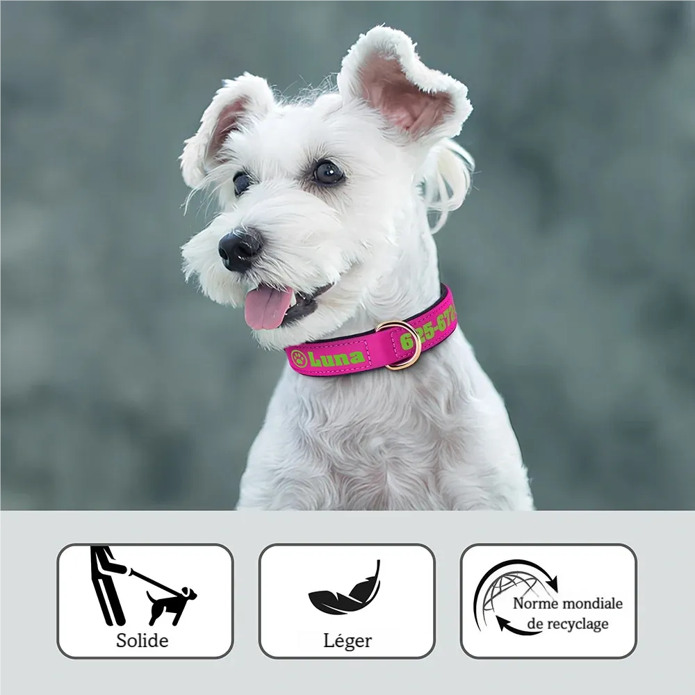 Vue portée d'un collier pour chien large rose fuchsia personnalisé avec impression verte, porté par un petit chien blanc de race schnauzer, avec pictogrammes résistance, légèreté et norme Global Recycled Standard visibles en bas.