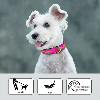 Vue portée d'un collier pour chien large rose fuchsia personnalisé avec impression verte, porté par un petit chien blanc de race schnauzer, avec pictogrammes résistance, légèreté et norme Global Recycled Standard visibles en bas.