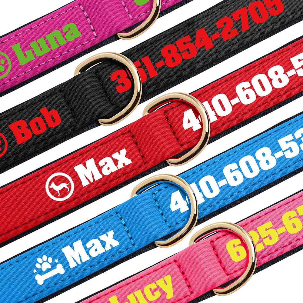 Vue rapprochée de cinq colliers pour chien larges rembourrés en coloris rose fuchsia, noir, rouge, bleu et rose clair, chacun avec prénom et numéro imprimés, anneau en D doré et motifs différents visibles.