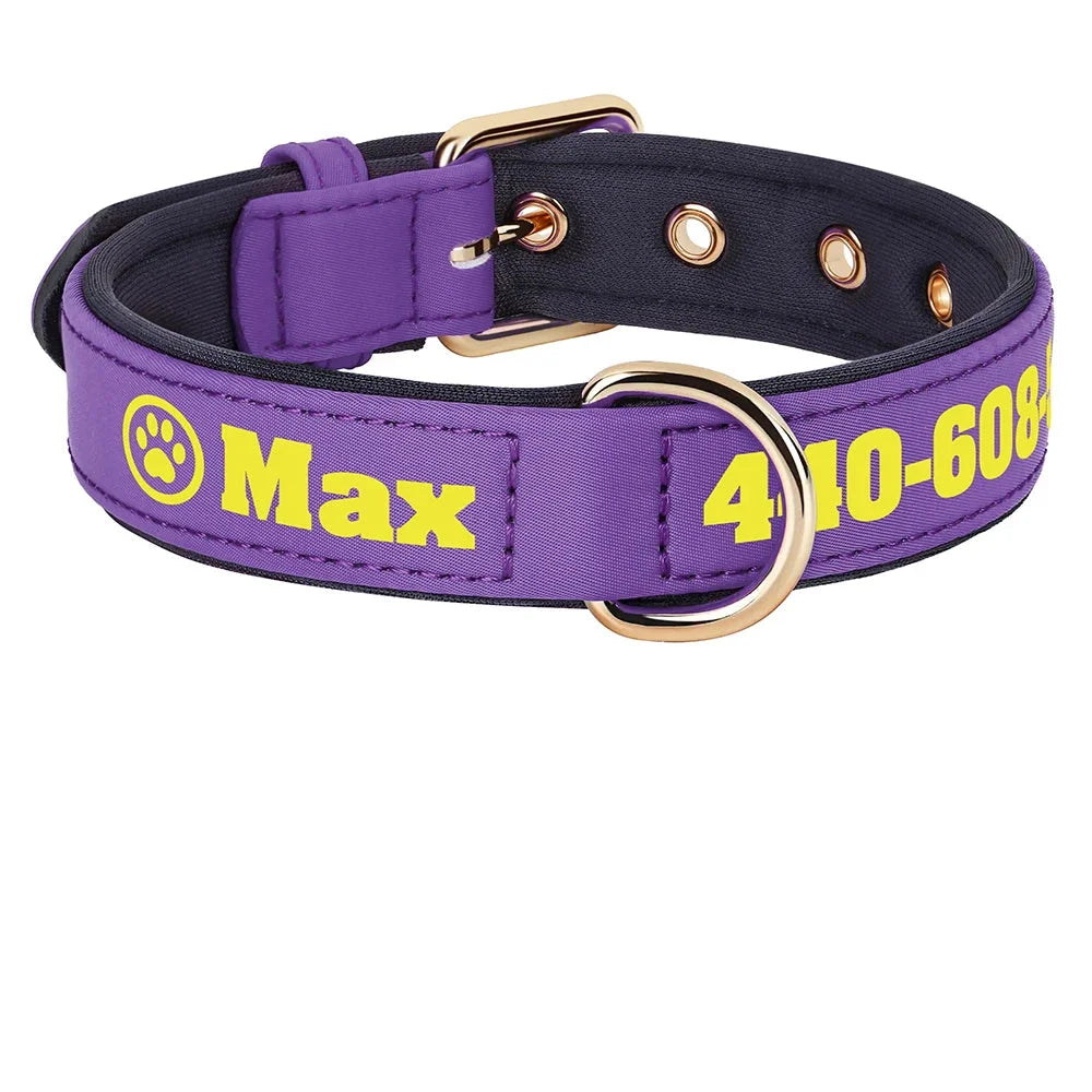 Collier pour chien large en tissu violet personnalisé avec prénom et numéro de téléphone imprimés en jaune, motif patte dans un cercle visible, doublure rembourrée noire, boucle et anneau en D dorés.