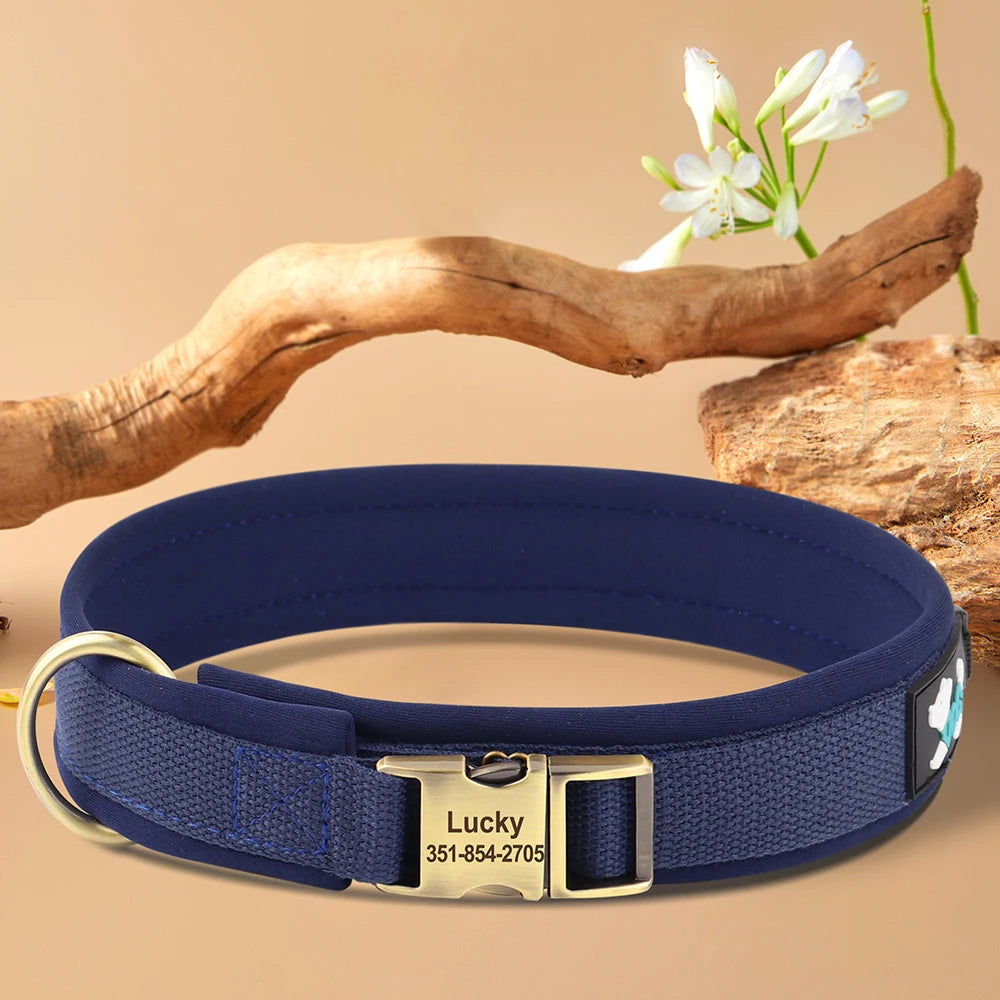 Vue produit du collier rembourré pour chien sur fond beige avec éléments décoratifs.