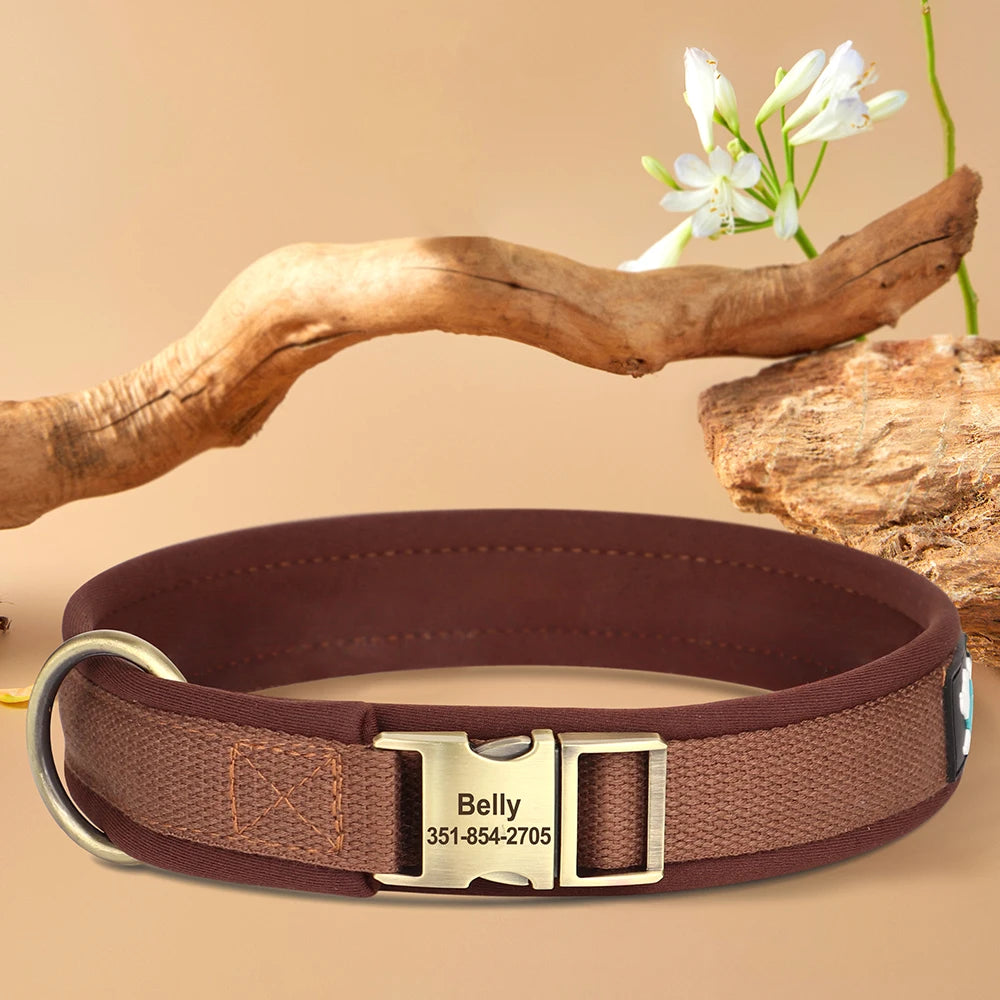 Vue produit du collier rembourré pour chien sur fond beige avec éléments décoratifs.