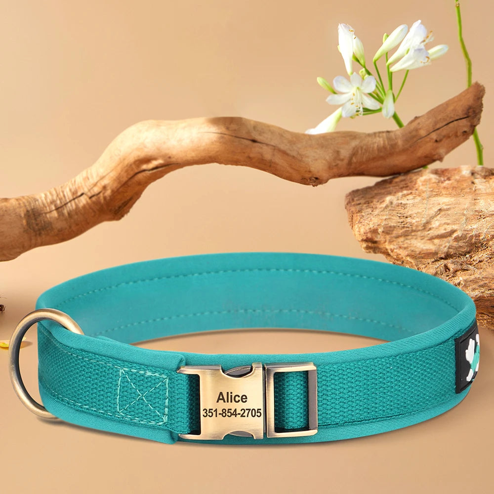 Vue produit du collier rembourré pour chien sur fond beige avec éléments décoratifs.