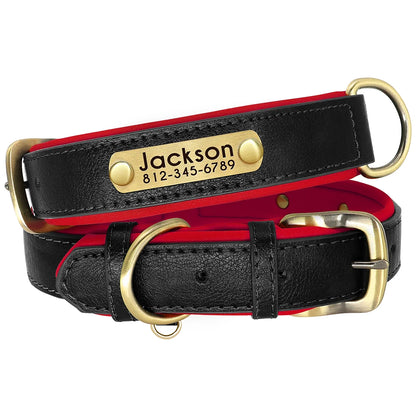 Collier pour chien personnalisé noir et rouge présenté à plat avec plaque gravée.
