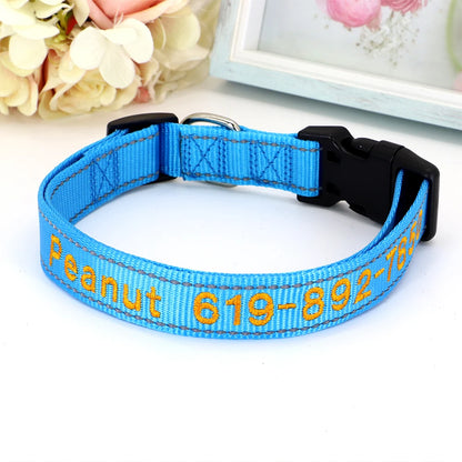 Collier pour chien en nylon bleu ciel avec prénom et numéro de téléphone brodés en orange, boucle à clip plastique noire et anneau en D argenté, posé sur fond blanc.