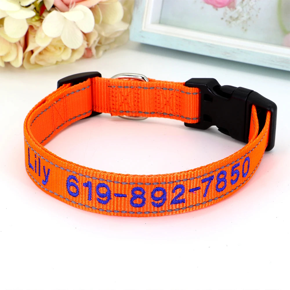 Collier pour chien en nylon orange avec prénom et numéro de téléphone brodés en bleu, boucle à clip plastique noire et anneau en D argenté, posé sur fond clair.