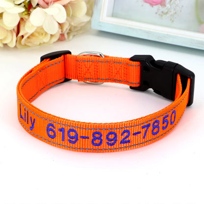 Collier pour chien en nylon orange avec prénom et numéro de téléphone brodés en bleu, boucle à clip plastique noire et anneau en D argenté, posé sur fond clair.
