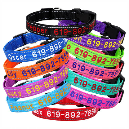 Vue d'ensemble de colliers pour chien en nylon personnalisés avec prénoms et numéros brodés, présentés dans de nombreux coloris dont noir, violet, bleu, orange, rose, fuchsia, vert, turquoise et rouge, tous avec bandes réfléchissantes et boucle plastique noire.
