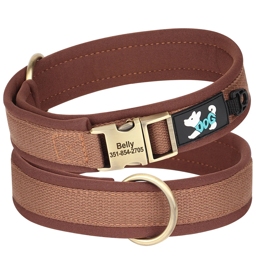 Collier personnalisé pour chien en nylon rembourré marron avec plaque d’identification gravée Belly sur fond blanc.