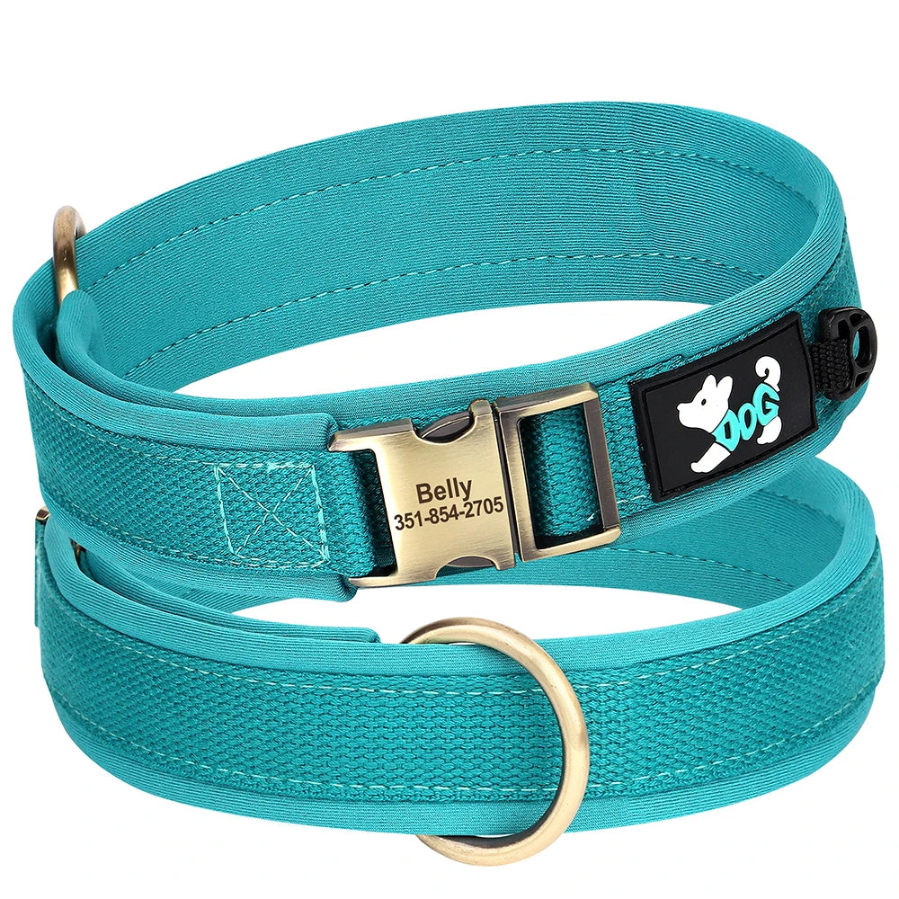 Collier personnalisé pour chien en nylon rembourré turquoise avec plaque d’identification gravée Belly sur fond blanc.
