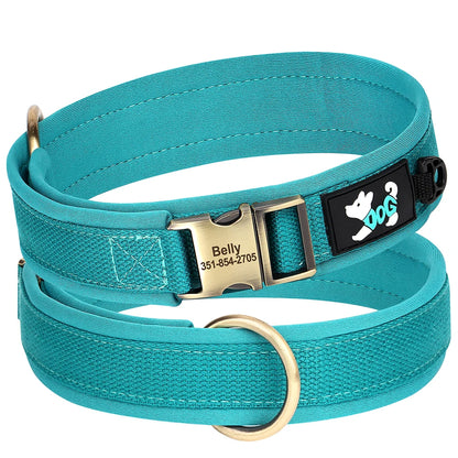 Collier personnalisé pour chien en nylon rembourré turquoise avec plaque d’identification gravée Belly sur fond blanc.