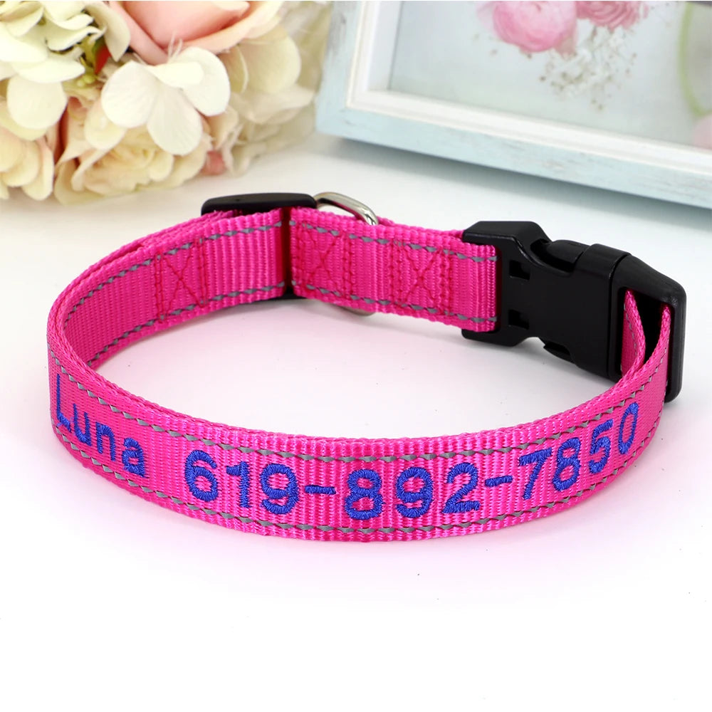 Collier pour chien en nylon rose clair avec prénom et numéro de téléphone brodés en bleu marine, boucle à clip plastique noire et anneau en D argenté, posé sur fond rose pâle.