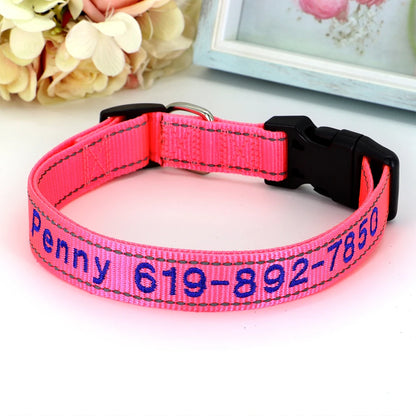 Collier pour chien en nylon rose fuchsia avec prénom et numéro de téléphone brodés en bleu marine, boucle à clip plastique noire et anneau en D argenté, posé sur fond rose pâle.