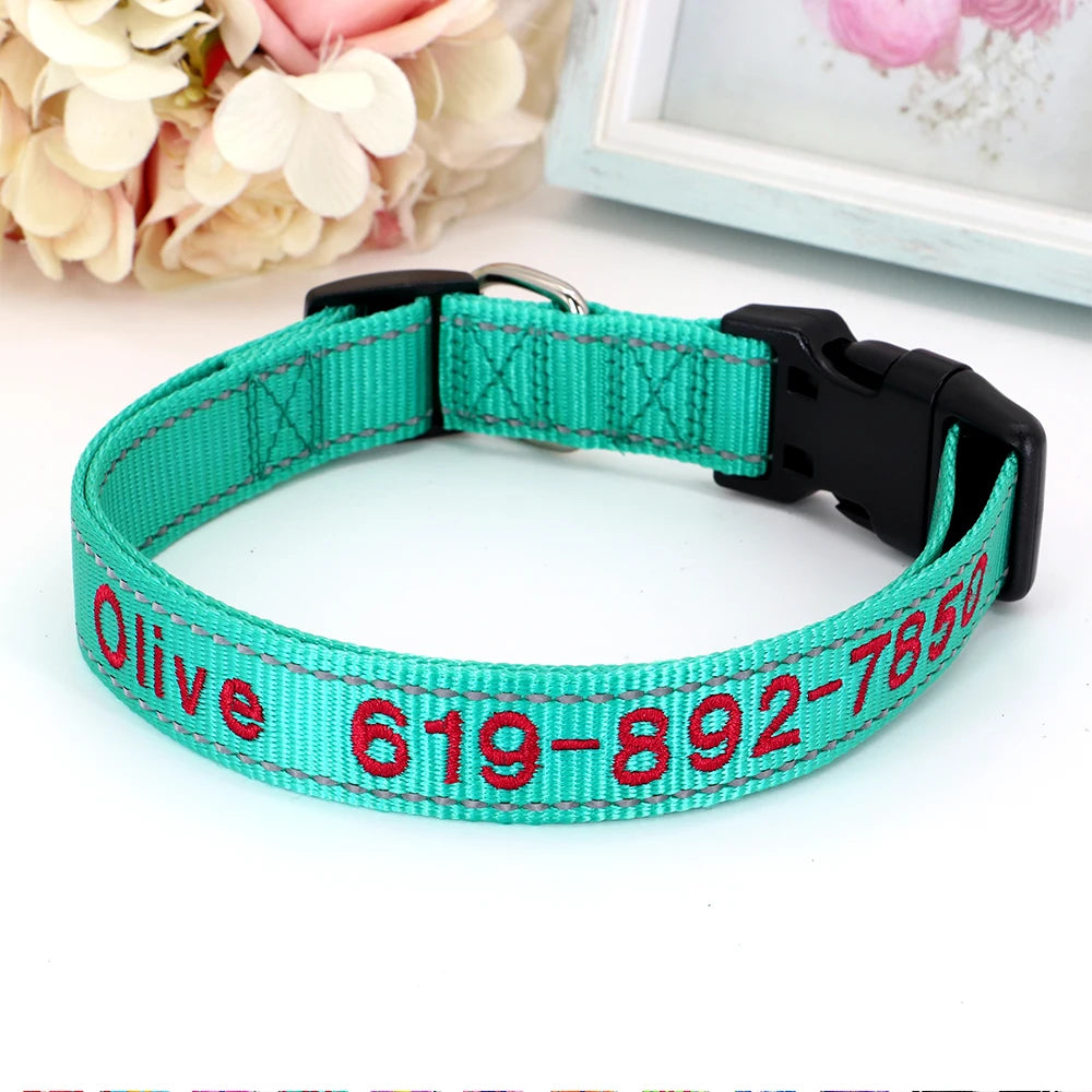 Collier pour chien en nylon turquoise avec prénom et numéro de téléphone brodés en rouge, boucle à clip plastique noire et anneau en D argenté, posé sur fond blanc.