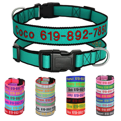 Collier pour chien en nylon turquoise à liseré noir avec prénom et numéro brodés en rouge, présenté en grand format avec en dessous quatre groupes de bandes de colliers illustrant les nombreux coloris et styles disponibles.