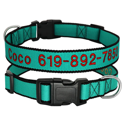 Deux colliers pour chien en nylon turquoise avec liseré noir, personnalisés avec prénom et numéro de téléphone brodés en rouge, boucle plastique noire et anneau en D argenté, sur fond blanc.