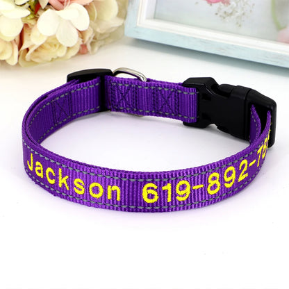 Collier pour chien en nylon violet avec prénom et numéro de téléphone brodés en jaune, boucle à clip plastique noire et anneau en D argenté, posé sur fond blanc.