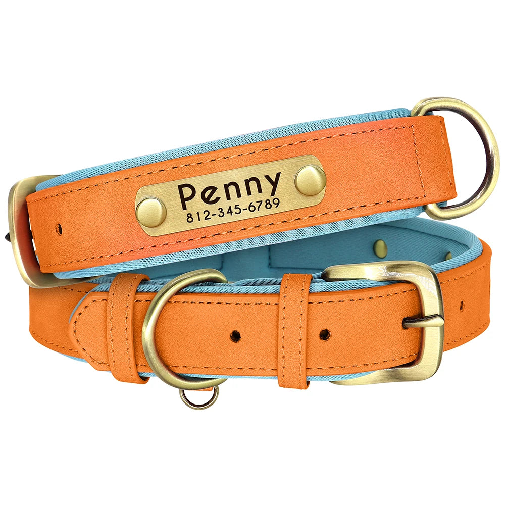 Collier pour chien personnalisé orange et bleu clair présenté à plat avec plaque gravée.