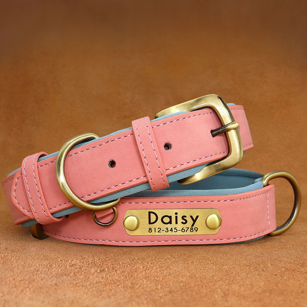 Collier pour chien personnalisé rose clair et bleu présenté à plat avec plaque gravée.