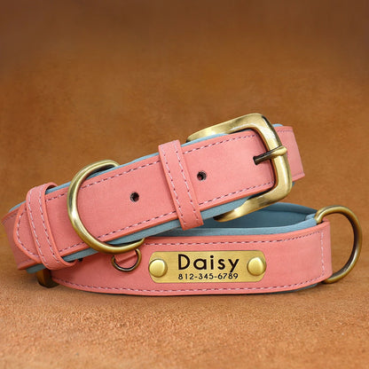 Collier pour chien personnalisé rose clair et bleu présenté à plat avec plaque gravée.