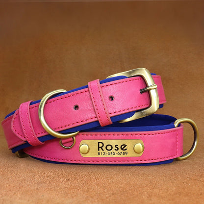 Collier pour chien personnalisé rose et bleu présenté à plat avec plaque gravée.