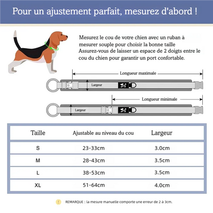 Guide de taille du collier personnalisé pour chien avec mesures du cou et largeurs.