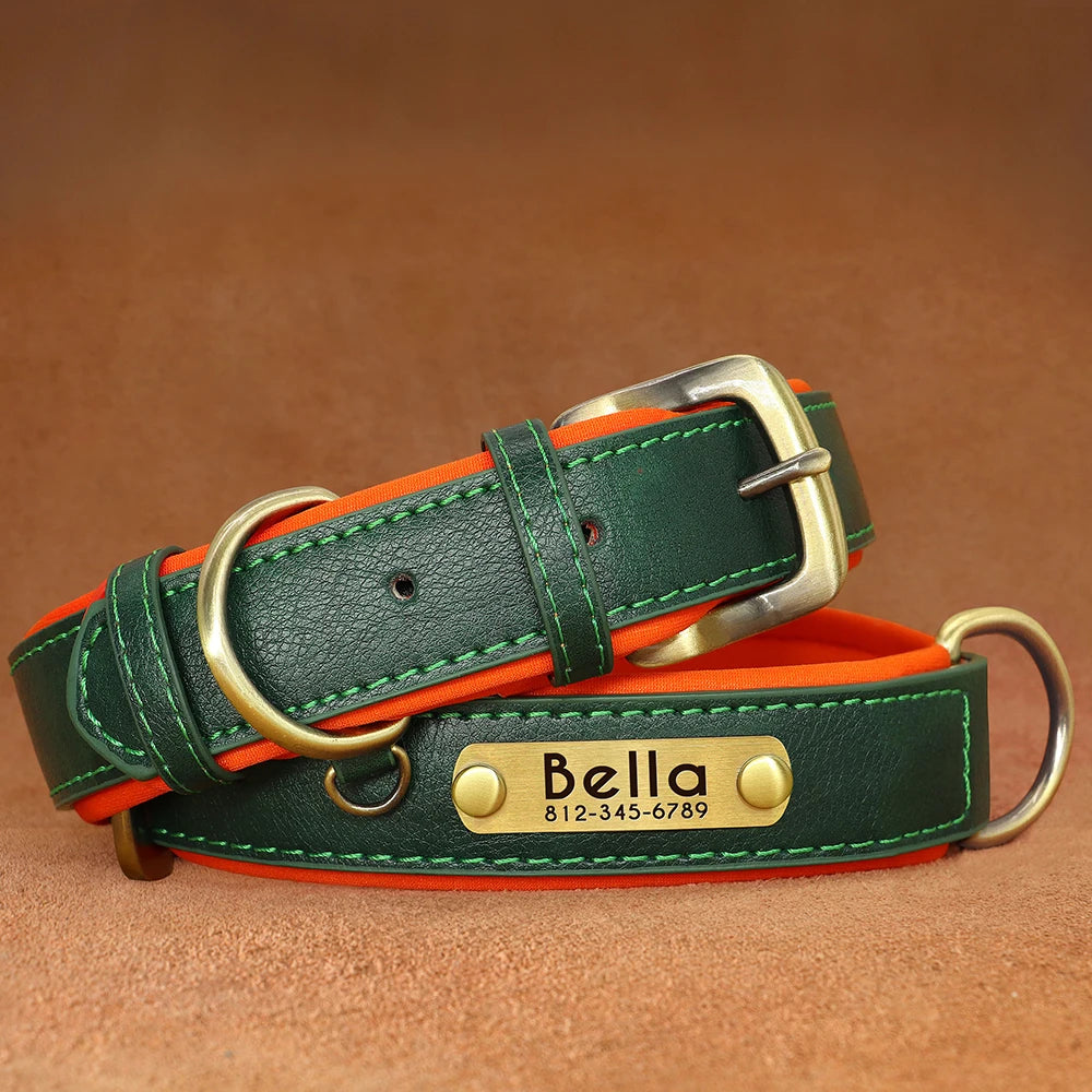Collier pour chien personnalisé vert et orange présenté à plat avec plaque gravée.