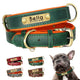 Collier personnalisé vert et orange pour chien avec aperçu des autres coloris.
