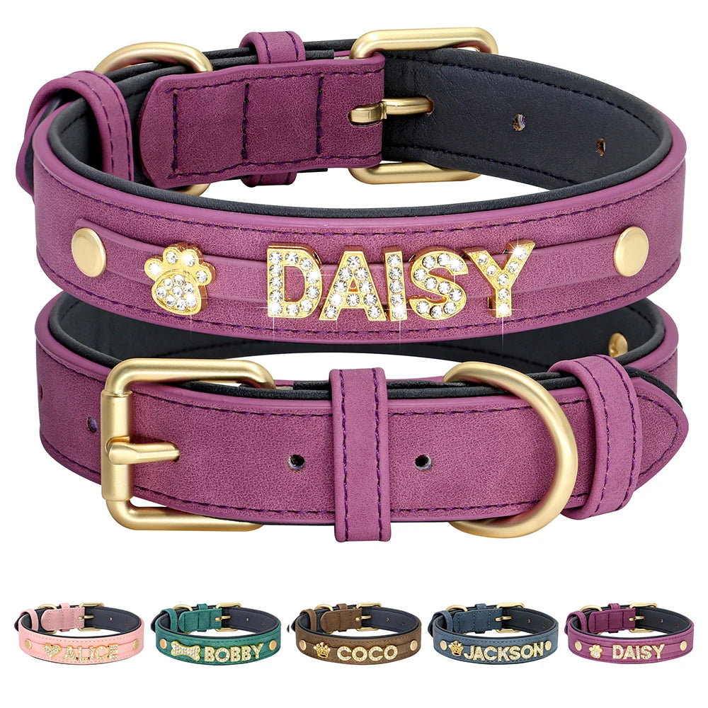 Collier personnalisé pour chien violet avec prénom Daisy et aperçu des autres coloris.