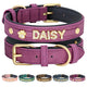 Collier personnalisé pour chien violet avec prénom Daisy et aperçu des autres coloris.