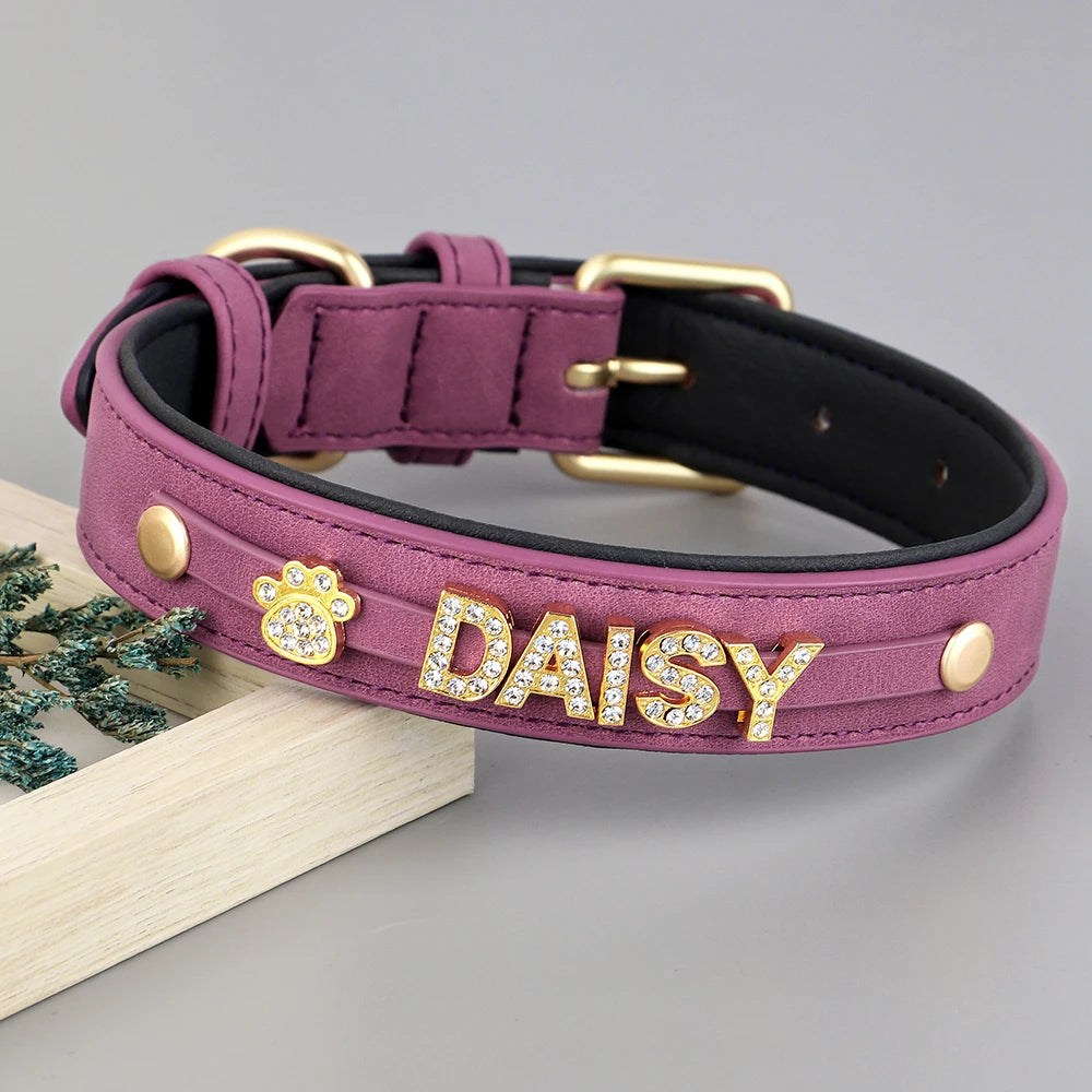 Collier personnalisé pour chien violet avec lettres Daisy et breloque patte.