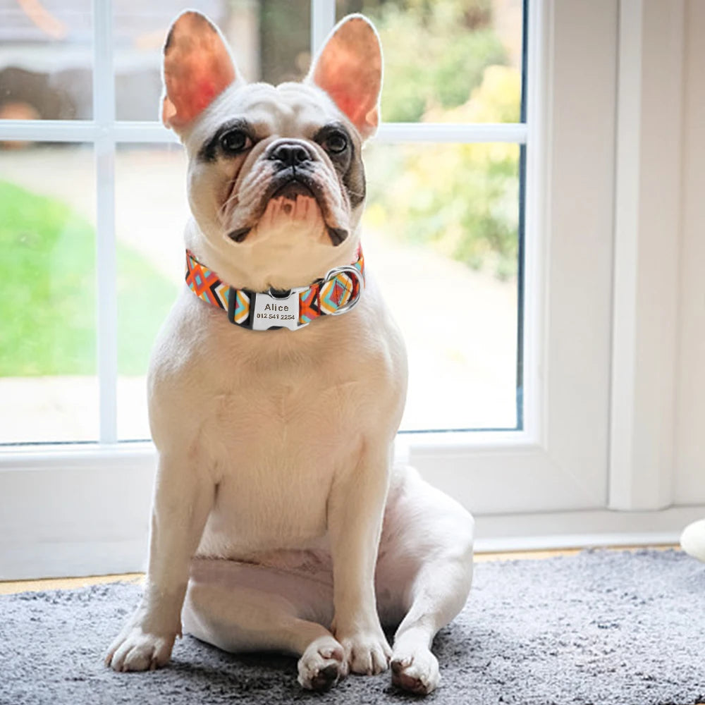 Bouledogue français portant un collier personnalisé pour chien en intérieur.
