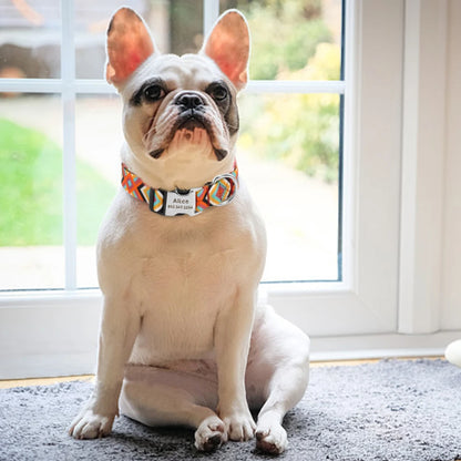 Bouledogue français portant un collier personnalisé pour chien en intérieur.